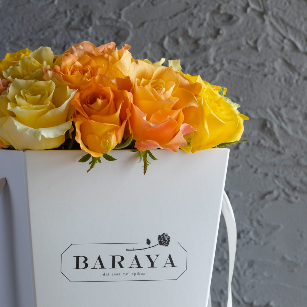Vitamin mix – BARAYA